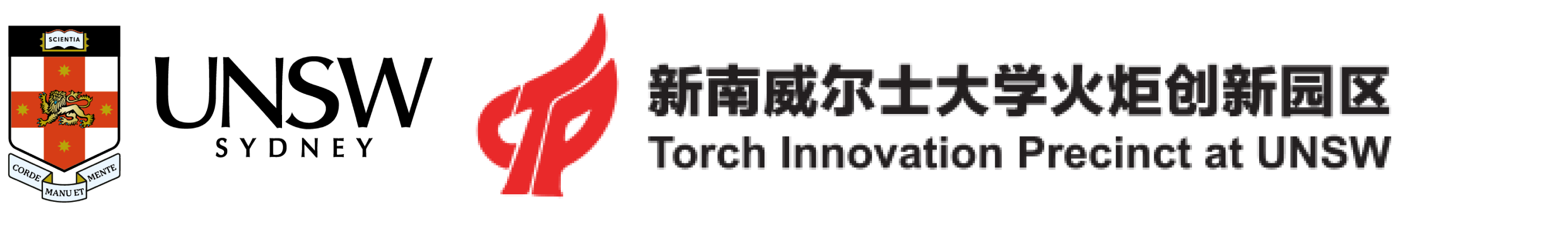 UNSW Torch Logo