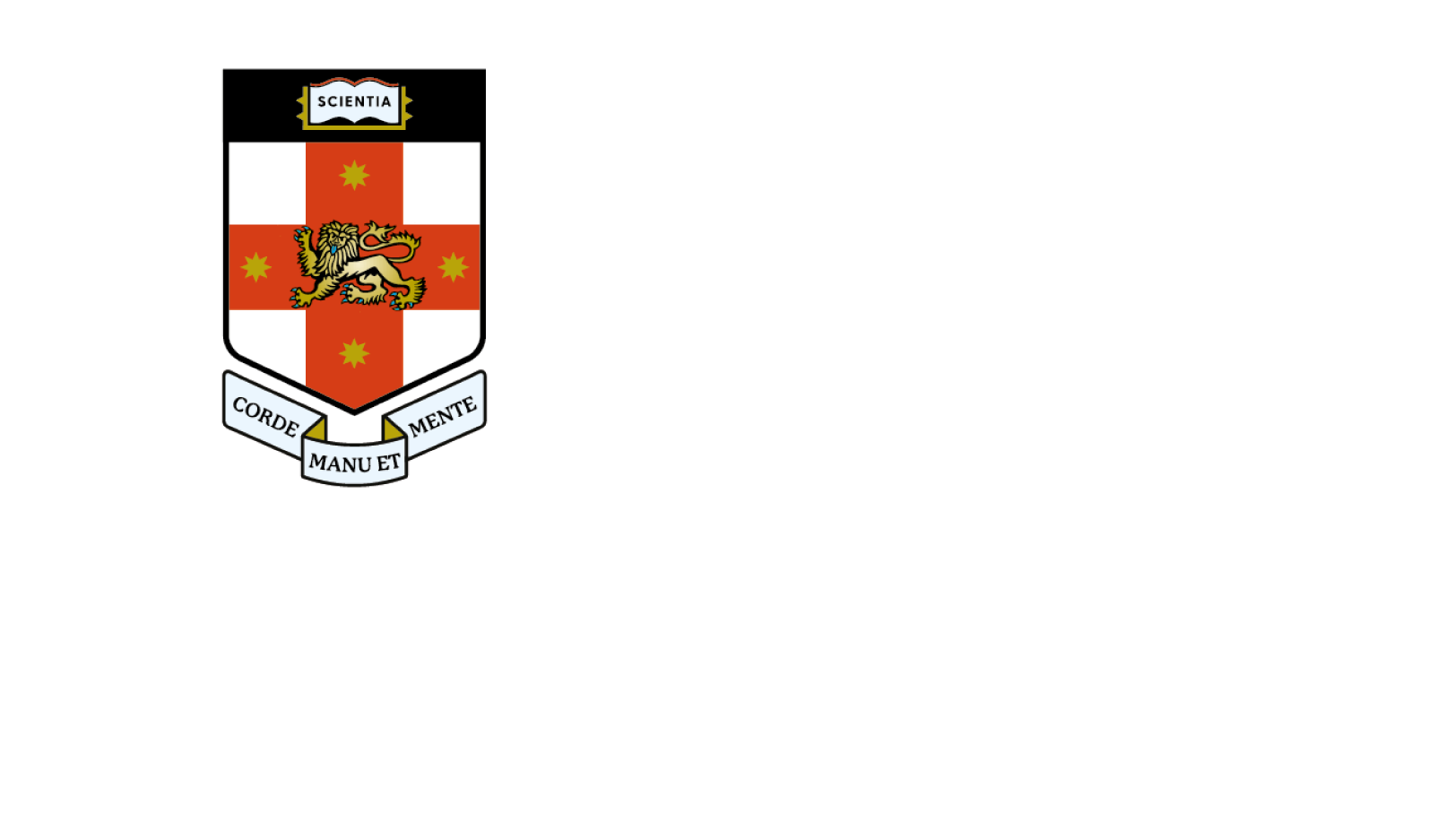 UNSW Torch Logo