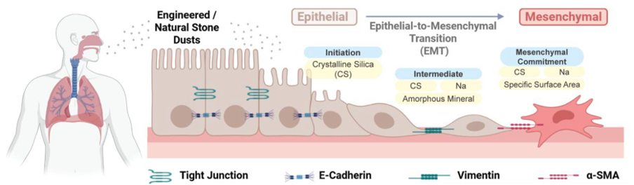 inhalation