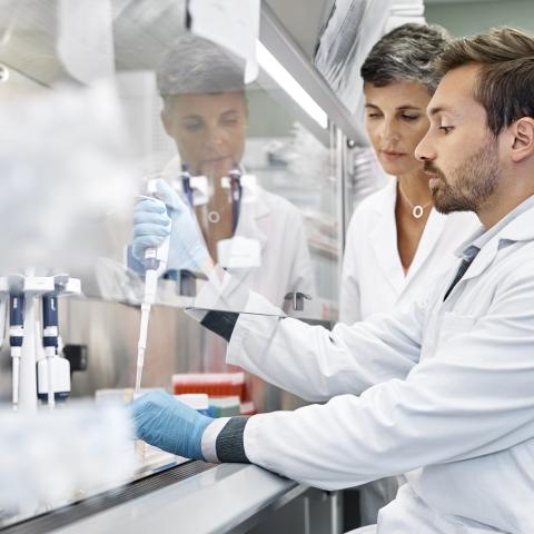 Health and Biotech