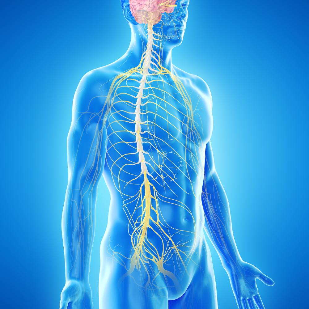 DT neuro